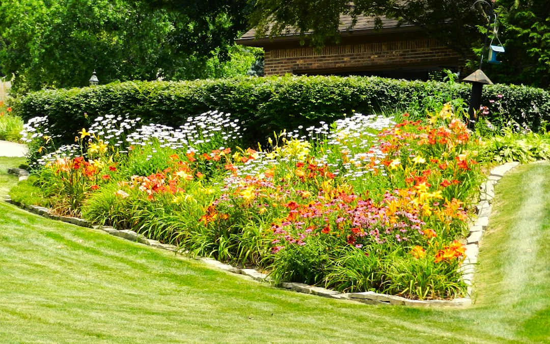 Landscaping and lawn maintenance
