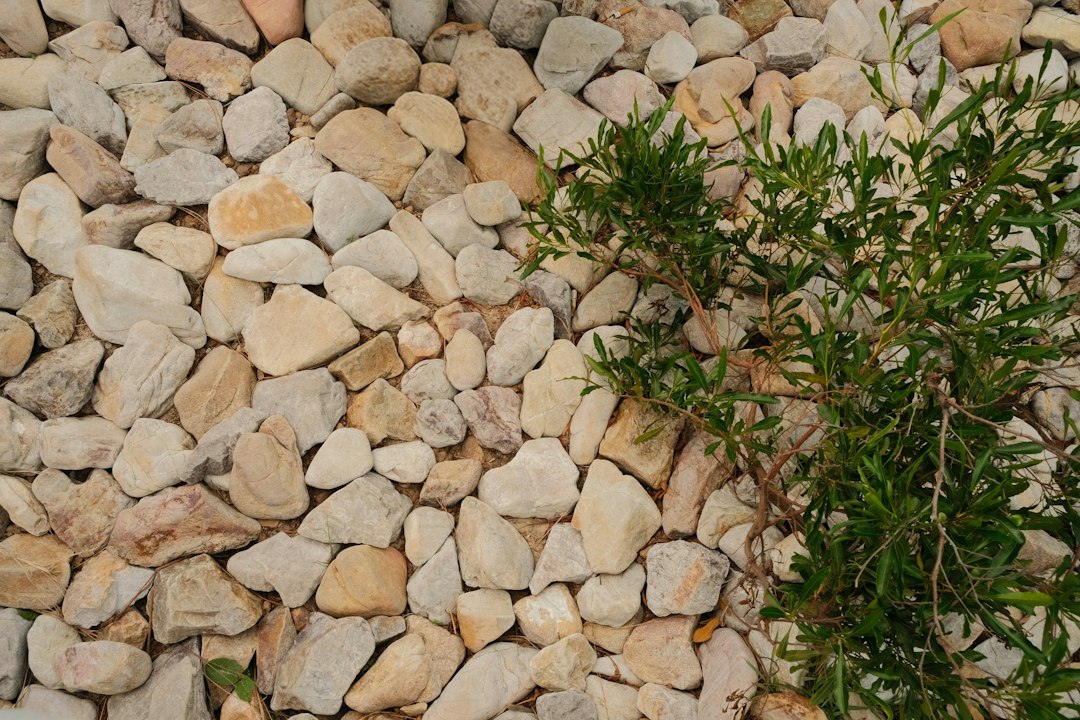 Decorative rock installation and landscape design
