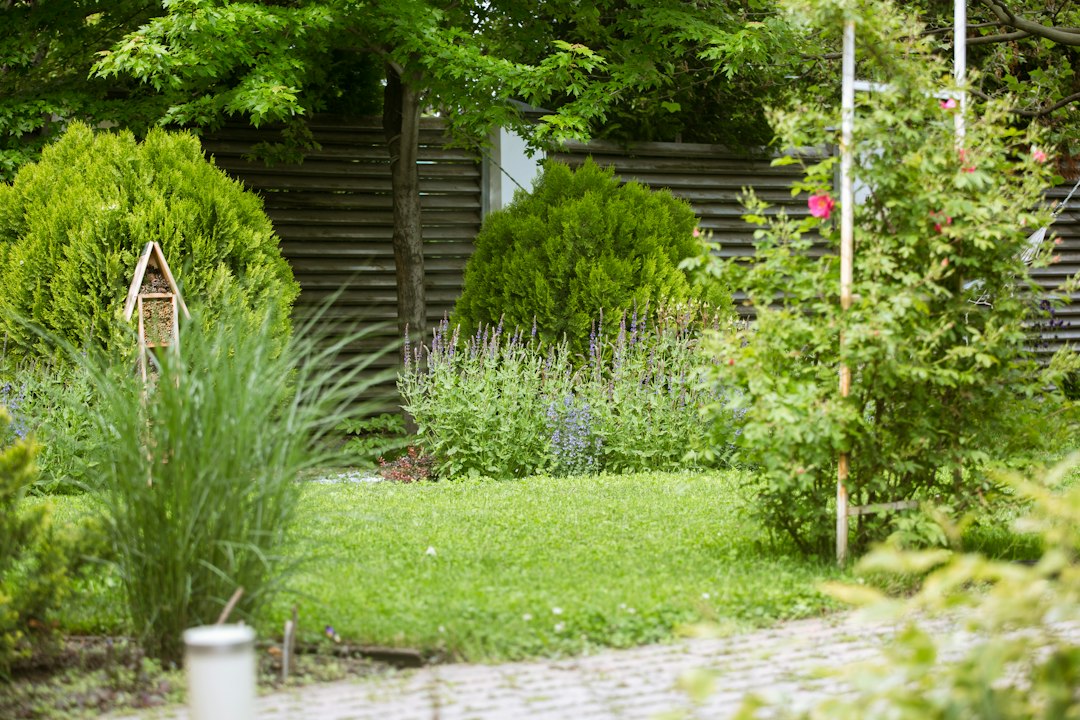 Mulching, flower beds, edging and shrub trimming